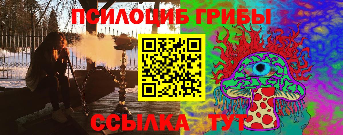 Галлюциногенные грибы Psilocybe  Вход с VPN  Большой Камень 